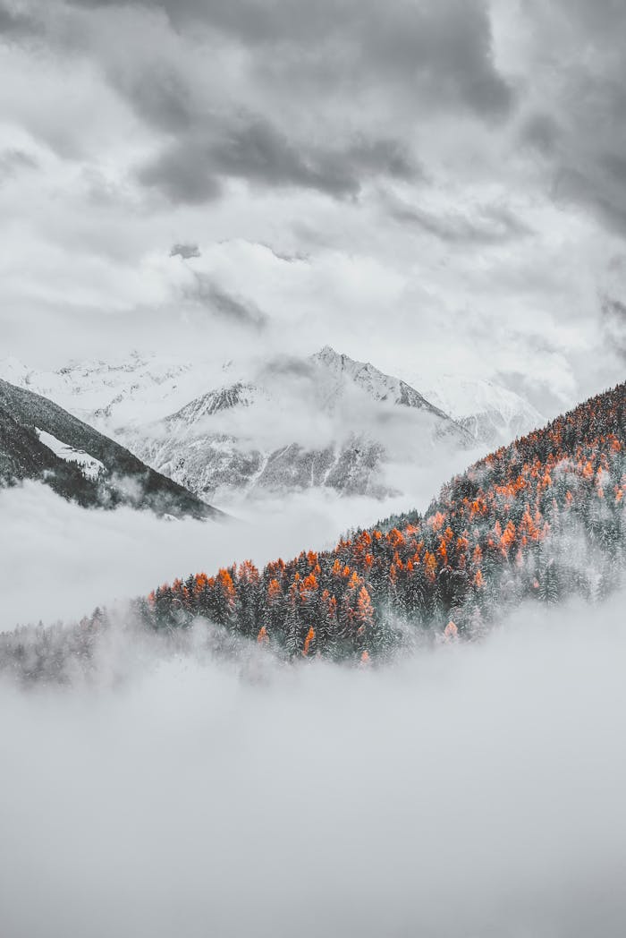 services-02 A breathtaking view of snow capped mountains and foggy forest with autumn colors.